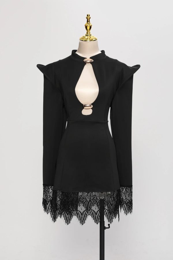 latticea long sleeve cutout lace mini dress 20