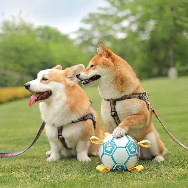paw print soccer ball dog chew toy with straps 12