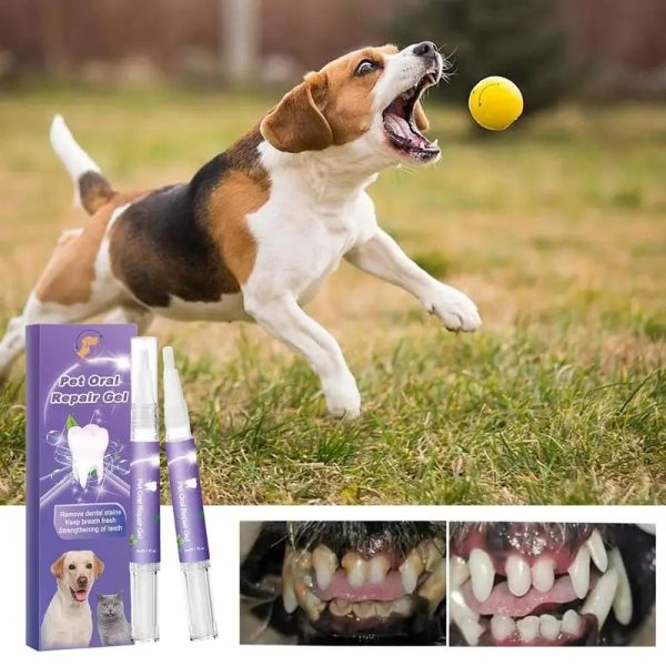 pet oral repair gel (2pcs) 12