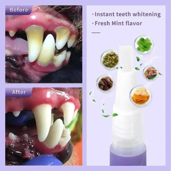 pet oral repair gel (2pcs) 13