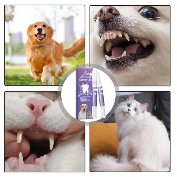 pet oral repair gel (2pcs) 14