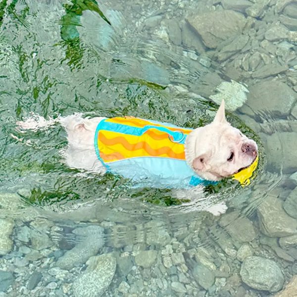 stylish color blocked dog life jacket 14