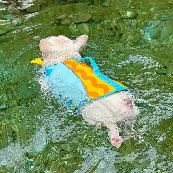 stylish color blocked dog life jacket 15