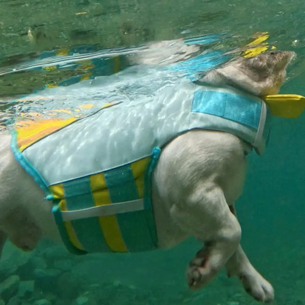 stylish color blocked dog life jacket 16