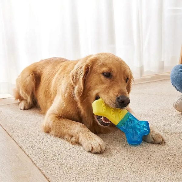 water fillable freezable teething cooling dog chew toy 13