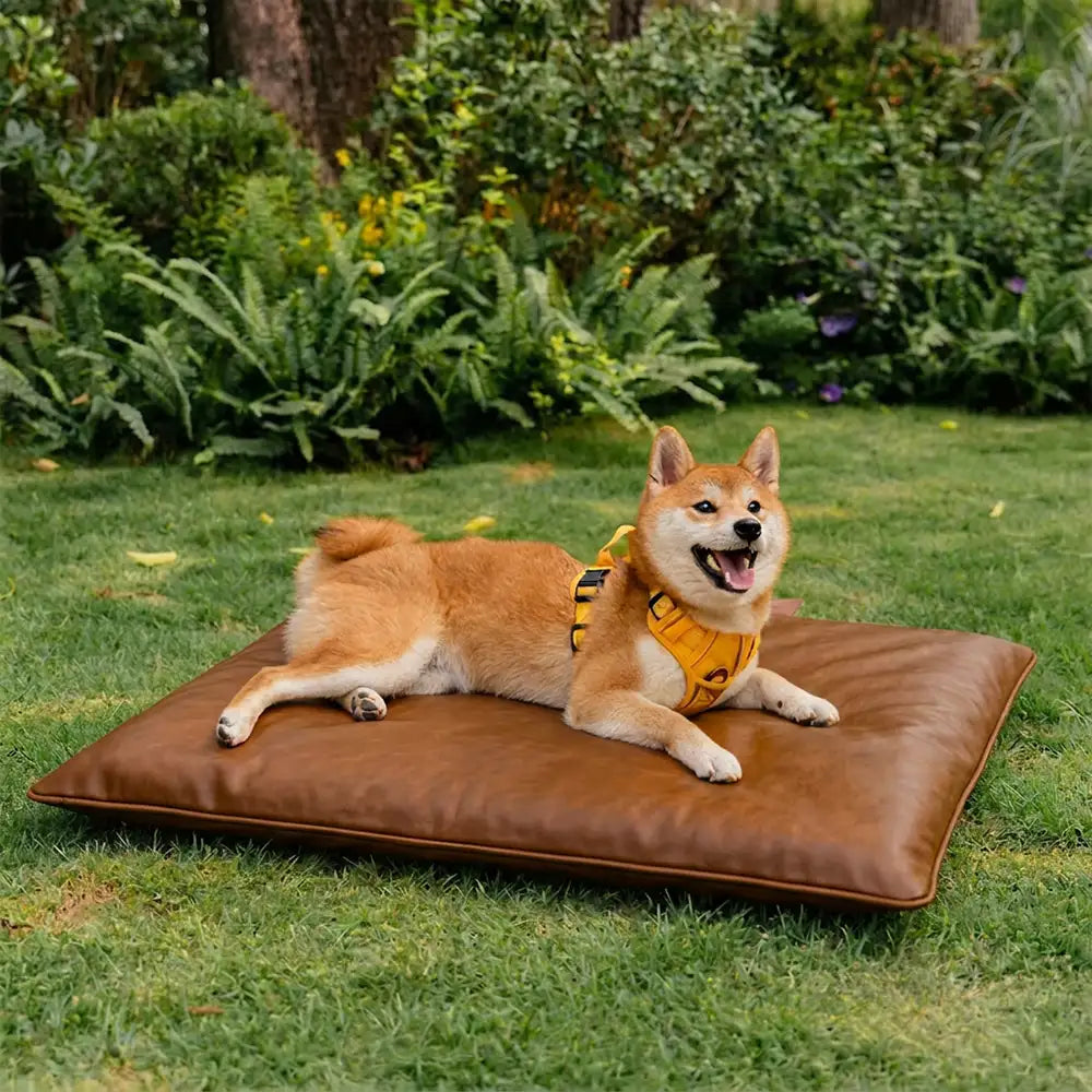 water repellent scratch resistant double sided washable dog mat 11