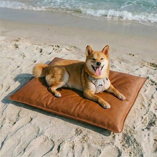 water repellent scratch resistant double sided washable dog mat 12