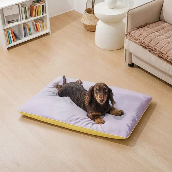 water repellent scratch resistant double sided washable dog mat 19