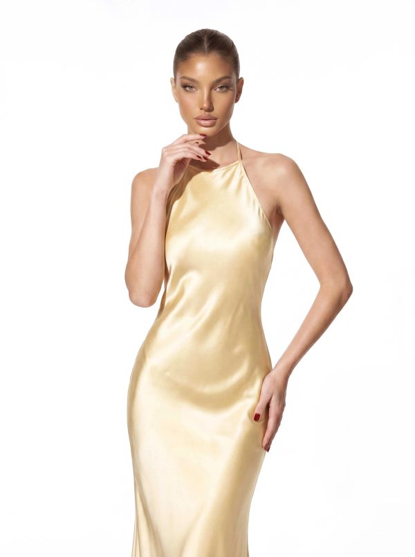 asteron backless satin maxi dress in gold 13