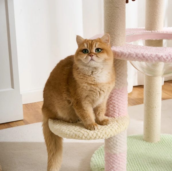 blush bloom multi platform cat tree 22