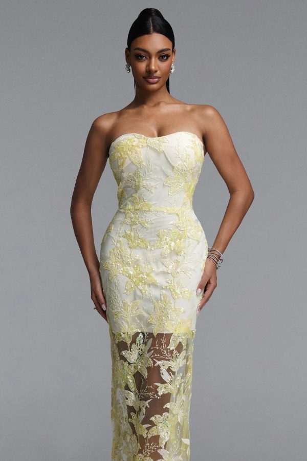 livana strapless floral embroidery sheer mermaid maxi dress 12