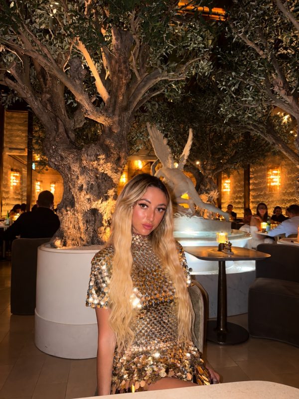 ayla sequin mini dress in gold silver 31
