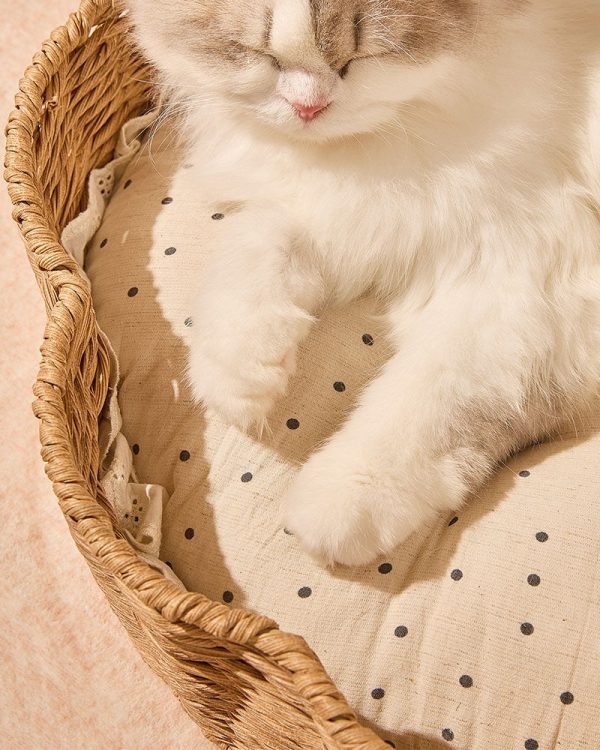 rattan shell semi enclosed cozy cat bed 15
