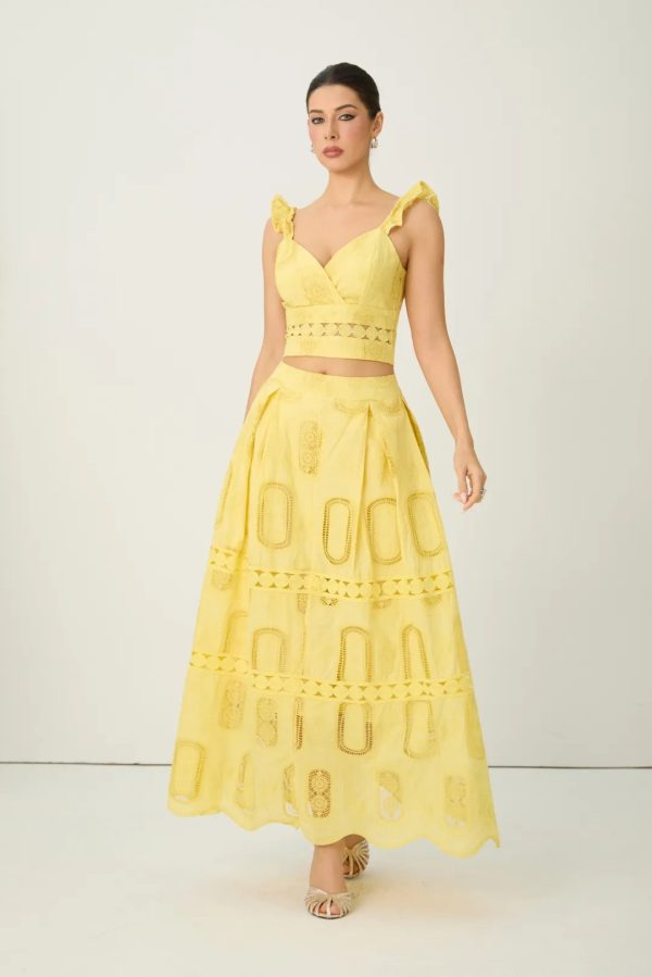 victoria yellow embroidered lace ruffle top & skirt set 12