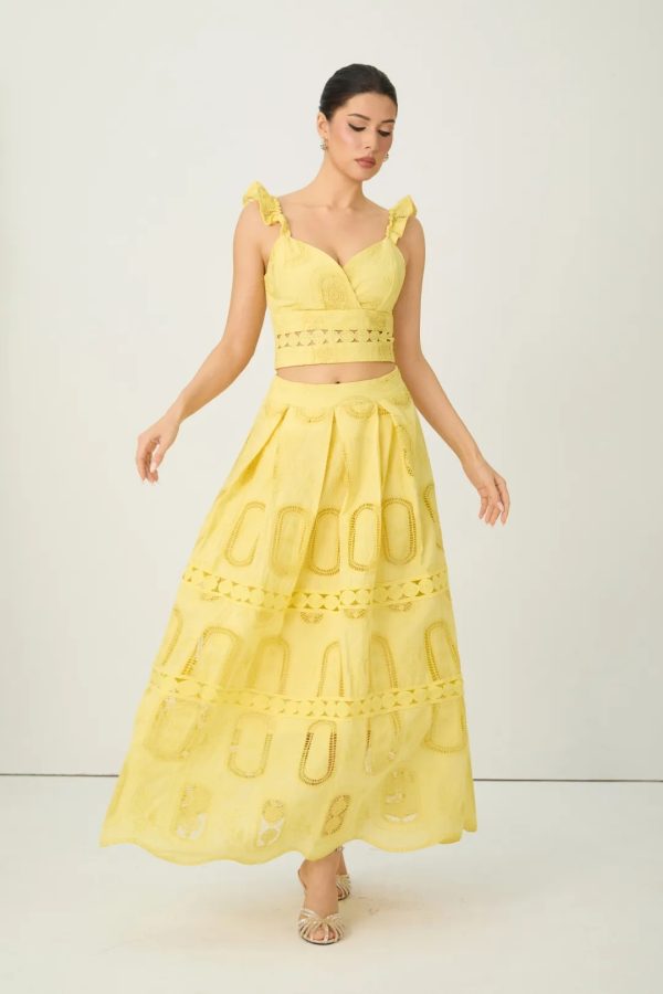 victoria yellow embroidered lace ruffle top & skirt set 14