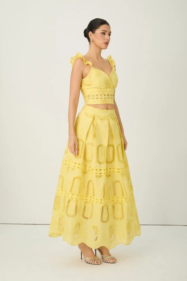 victoria yellow embroidered lace ruffle top & skirt set 15