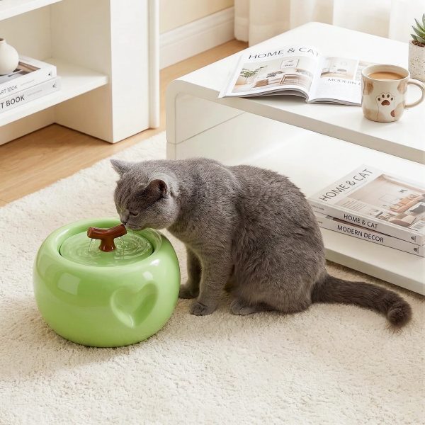 50oz love apple cat water fountain 25
