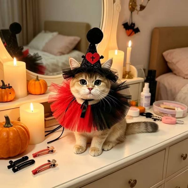 halloween costume set for cats 13