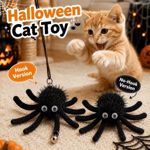halloween spider cat toy 11 halloween spider cat toy 11