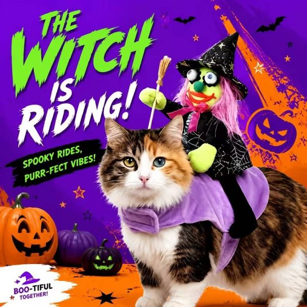 halloween pet witch rider costume 13