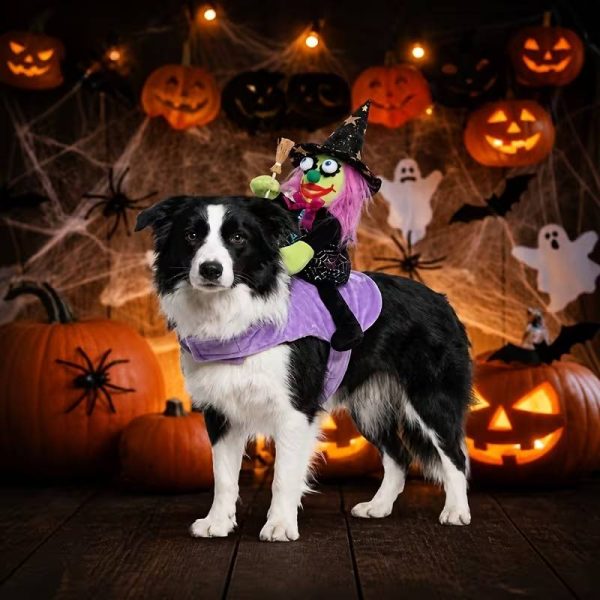 halloween pet witch rider costume 14